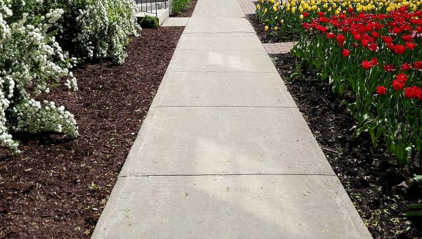 Concrete Pathway Repair in North Richland Hills